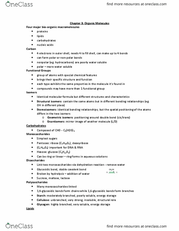 BIOL 102 Lecture Notes - Lecture 2: Glycosidic Bond, Proteome, Protein Folding thumbnail