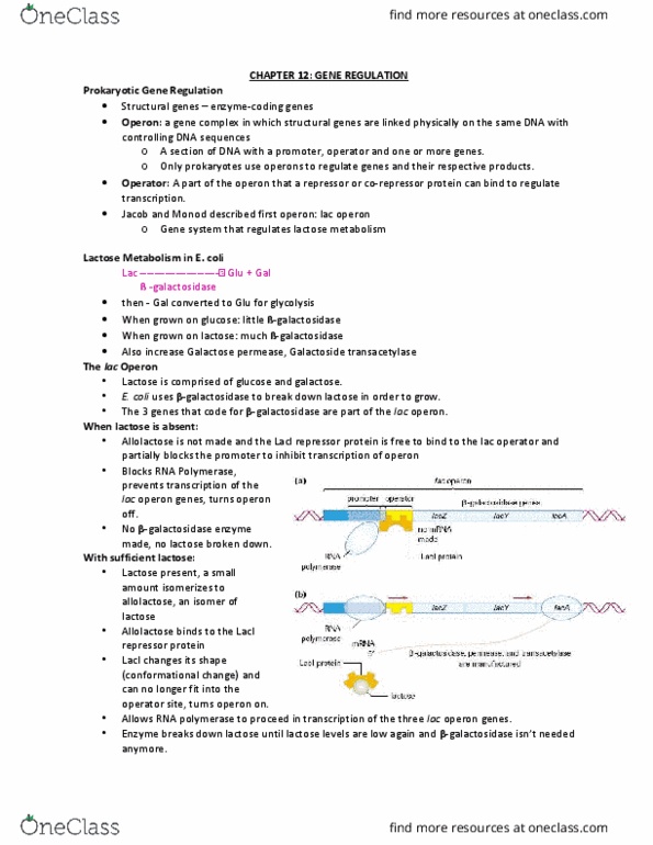 BIOL 102 Lecture Notes - Lecture 4: Transcription Factor Ii D, Lac Operon, Tata Box thumbnail