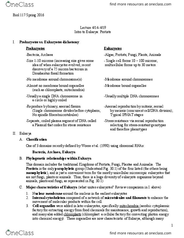 BIOL 117 Lecture Notes - Lecture 19: Symbiogenesis, Cellular Respiration, Eukaryote thumbnail