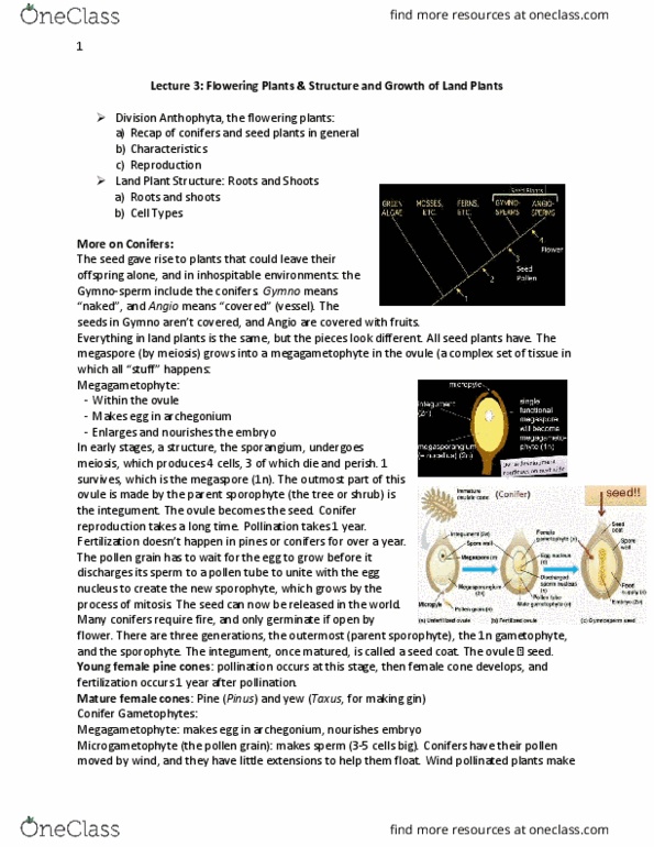 BIOL 1011 Lecture 3: Bio 1011 1.3 thumbnail