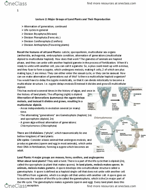 BIOL 1011 Lecture 2: Bio 1011 1.2 thumbnail