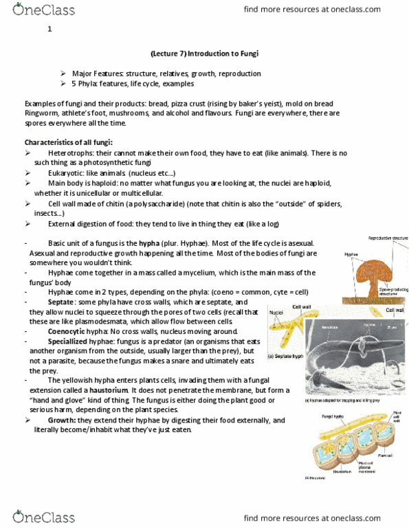 BIOL 1011 Lecture 7: Bio 1011 1.7 thumbnail