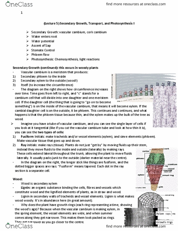 BIOL 1011 Lecture 5: Bio 1011 1.5 thumbnail