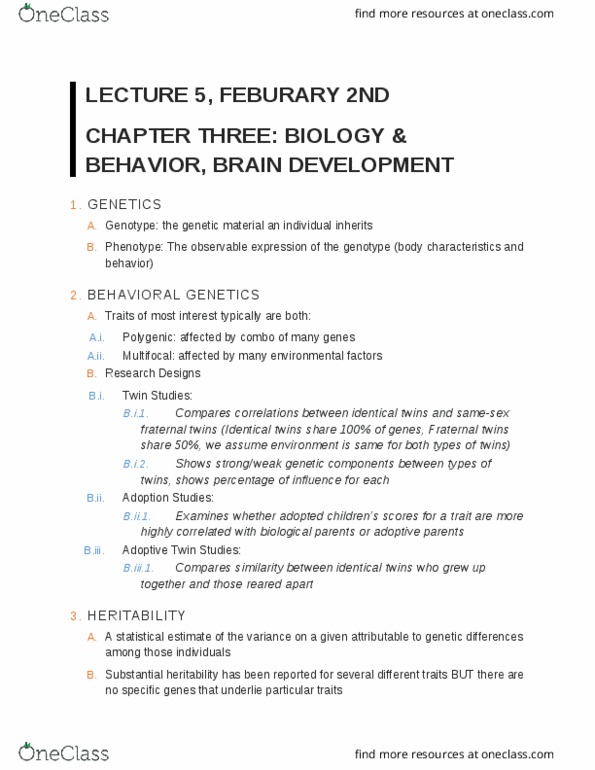 PSYCH 2410 Lecture Notes - Lecture 5: Prenatal Development, Phenotype, Neural Development thumbnail