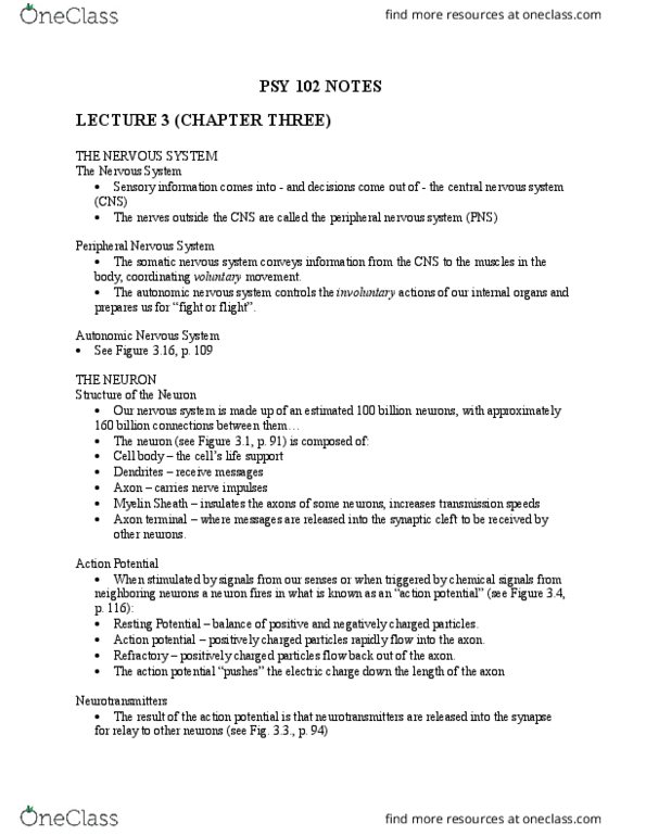 PSY 102 Lecture Notes - Lecture 3: Axon Terminal, Hindbrain, Thalamus thumbnail