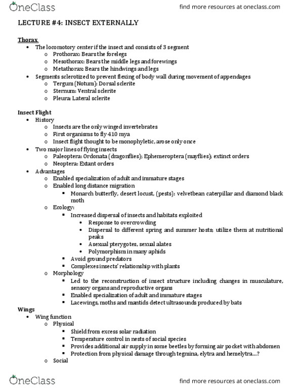 ENT207 Lecture Notes - Lecture 4: Notum, Habitat, Mesothorax thumbnail