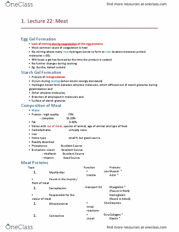 HTM 2700 Lecture Notes - Lecture 22: Thiamine, Riboflavin, Actin thumbnail