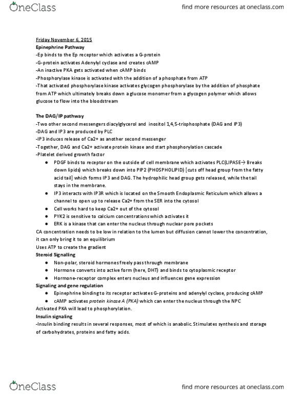 BI110 Lecture Notes - Lecture 24: Ptk2B, Inositol, Glycogen thumbnail