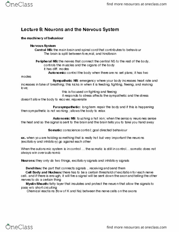 PSYA01H3 Lecture Notes - Lecture 8: Hindbrain, Myelin, Neuron thumbnail