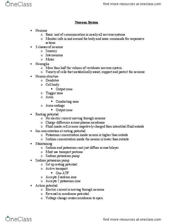 BSC 2011C Lecture Notes - Lecture 27: Multiple Sclerosis, Neuroglia, Cerebral Cortex thumbnail
