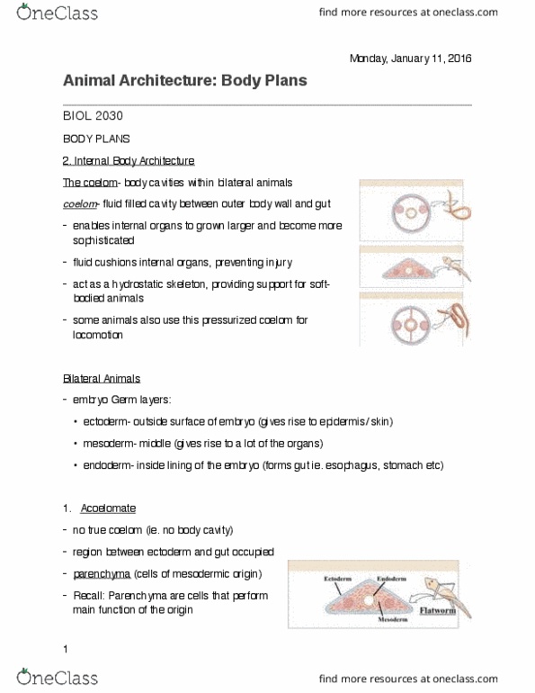 BIOL 2030 Lecture Notes - Lecture 3: Endoplasm, Protist, Myxozoa thumbnail