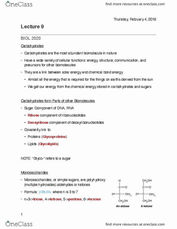 BIOL 2020 Lecture Notes - Lecture 9: Furanose, Chemical Bond, Glycosylation thumbnail