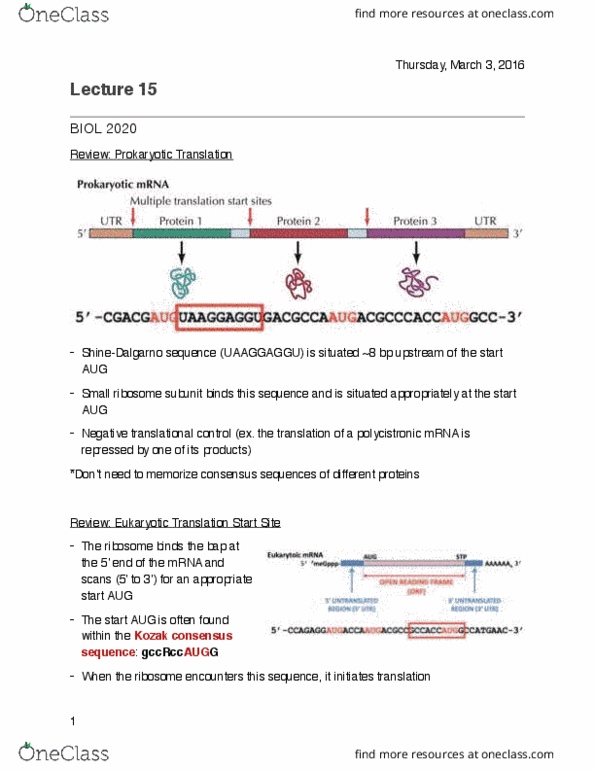 BIOL 2020 Lecture Notes - Lecture 15: Phosphatase, Digestion, Methyl Group thumbnail