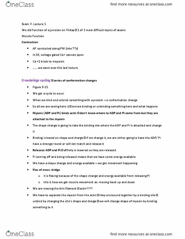 EEOB 2520 Lecture Notes - Lecture 23: Bwe Karen Language, Troponin, Oxidative Phosphorylation thumbnail