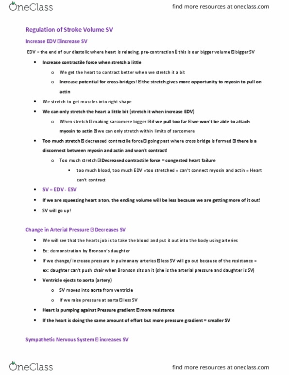 EEOB 2520 Lecture Notes - Lecture 33: Aorta, Baby Transport, Heart Failure thumbnail