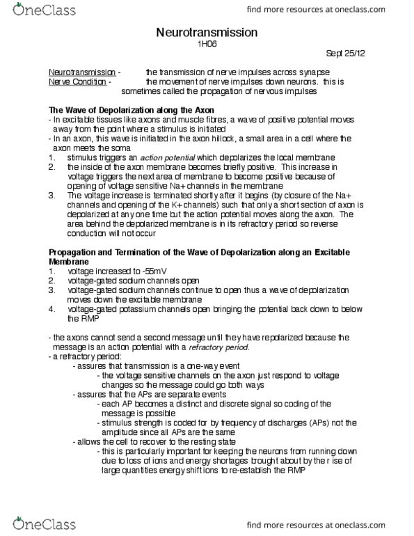 HTHSCI 1H06 Lecture Notes - Lecture 3: Norepinephrine, Gap Junction, Axon Terminal thumbnail