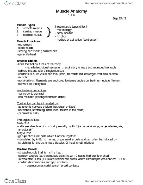 HTHSCI 1H06 Lecture Notes - Lecture 12: Autonomic Nervous System, Cardiac Muscle, Chemical Synapse thumbnail