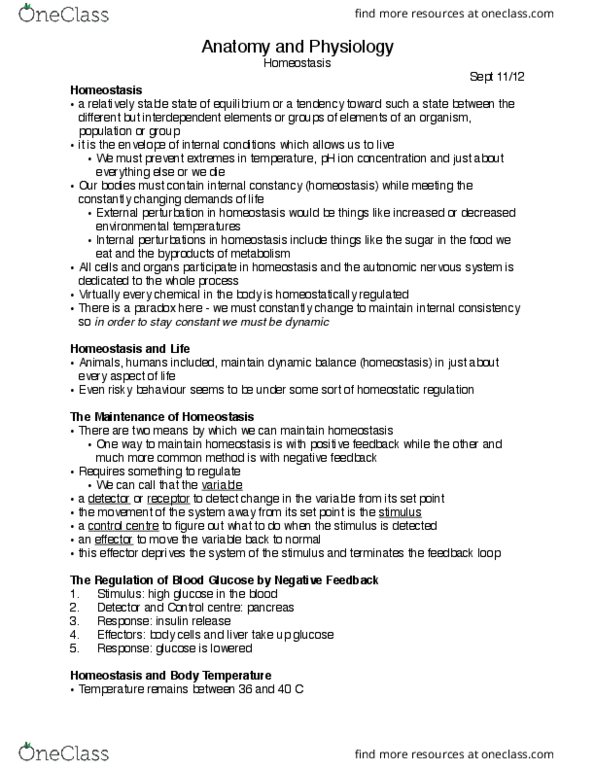 HTHSCI 1H06 Lecture Notes - Lecture 16: Hypothalamus, Ovulation, Homeostasis thumbnail