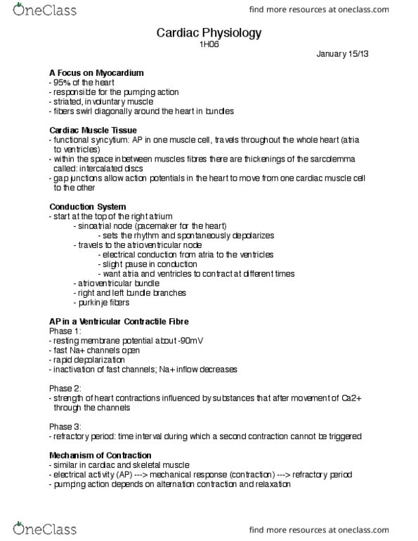 HTHSCI 1H06 Lecture Notes - Lecture 36: Resting Potential, Cardiac Muscle Cell, Atrioventricular Node thumbnail