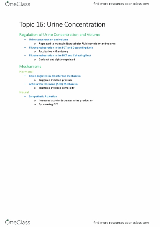 KINESIOL 1AA3 Lecture Notes - Lecture 16: Pituitary Gland, Diuretic, Diuresis thumbnail