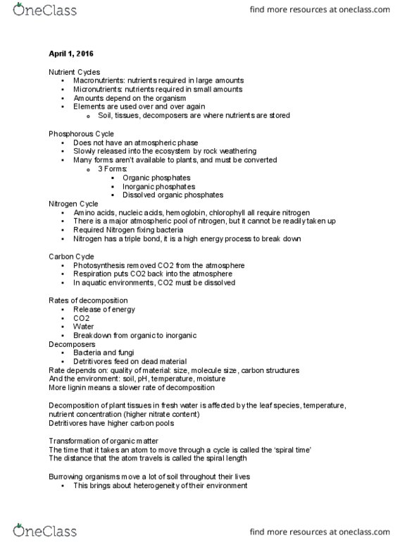 BIOL208 Lecture Notes - Lecture 15: Chlorophyll, Hemoglobin, Decomposer thumbnail