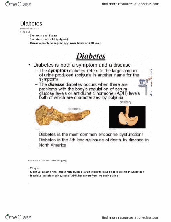 NURSING 2LA2 Lecture Notes - Lecture 4: Polyuria, Hyperglycemia, Beta Cell thumbnail