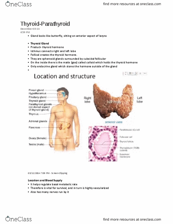 NURSING 2LA2 Lecture Notes - Lecture 5: Thyroiditis, Colloid, Globulin thumbnail