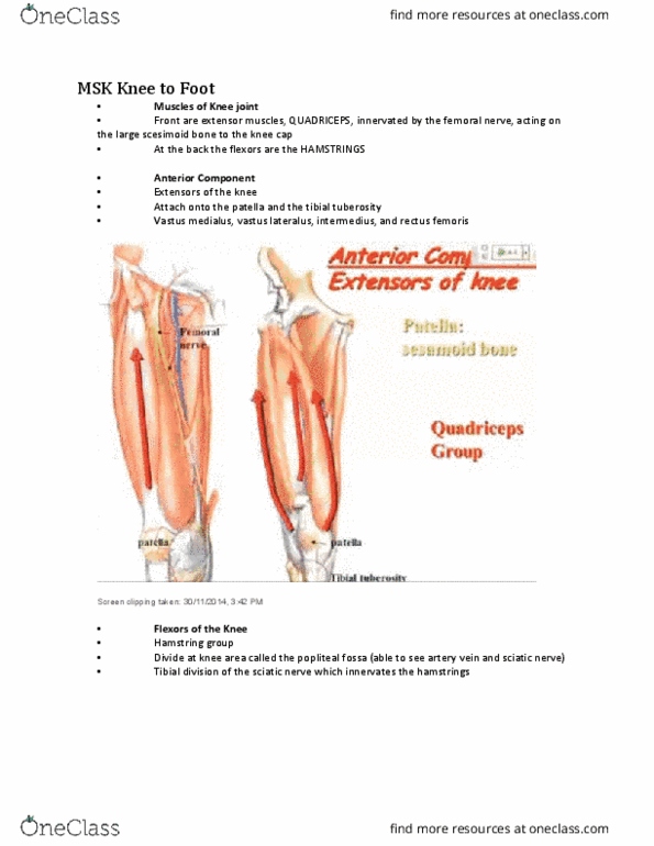 NURSING 2LA2 Lecture Notes - Lecture 8: Hinge Joint, Malleolus, Varicose Veins thumbnail