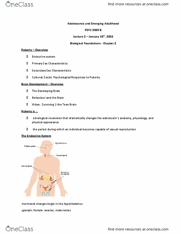 PSYC 3509 Lecture Notes - Lecture 2: Pituitary Gland, Junk Food, Grip Strength thumbnail
