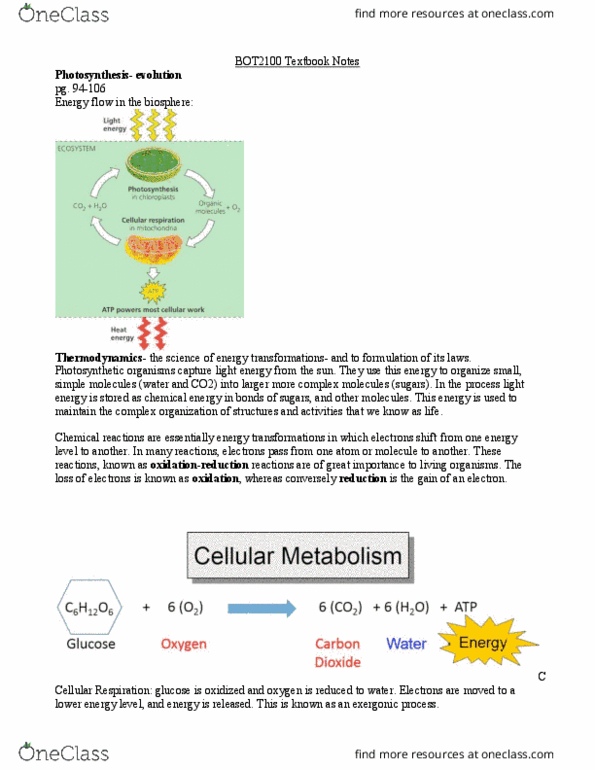 BOT 2100 Chapter Notes - Chapter 10: Cytochrome B6F Complex, Jan Baptist Van Helmont, C3 Carbon Fixation thumbnail