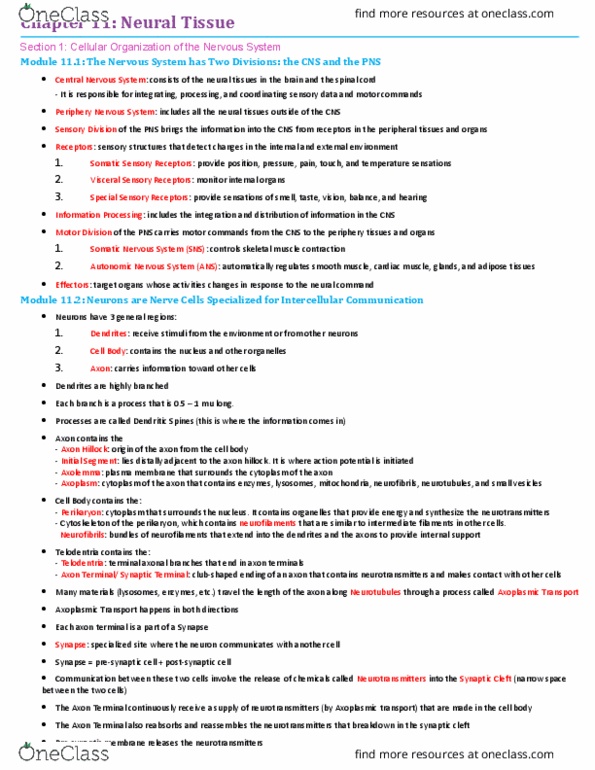 BIO210Y5 Chapter Notes - Chapter 11: Schwann Cell, Axoplasmic Transport, Axon Hillock thumbnail