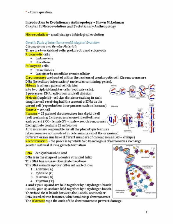 ANTB14H3 Chapter Notes -Genetic Drift, Neutral Mutation, Allele Frequency thumbnail