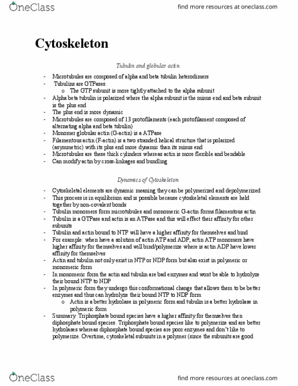 PSY 214 Lecture Notes - Lecture 7: Microtubule Nucleation, Microtubule Organizing Center, Atp Hydrolysis thumbnail