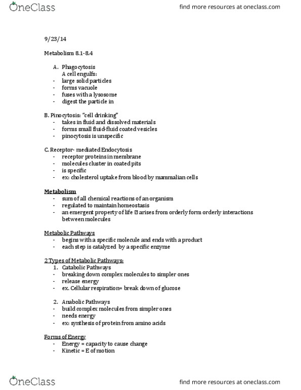 01:119:115 Lecture Notes - Lecture 7: Exergonic Reaction, Kinetic Energy, Pinocytosis thumbnail