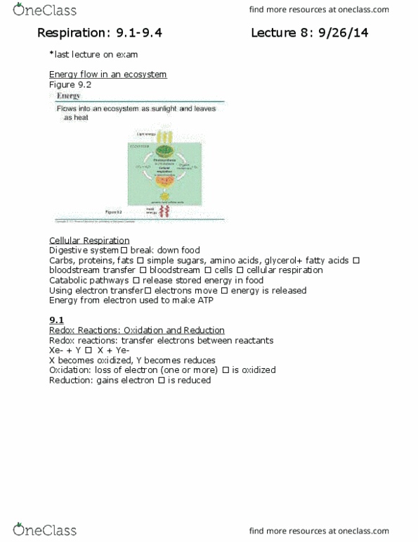 01:119:115 Lecture Notes - Lecture 8: Nicotinamide Adenine Dinucleotide, Pyruvate Dehydrogenase, Oxidative Phosphorylation thumbnail