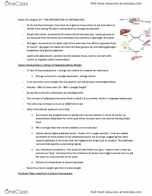 CHEM 271 Chapter Notes - Chapter 27: Protein Kinase C, Diabetes Mellitus Type 2, Glycogen Synthase thumbnail