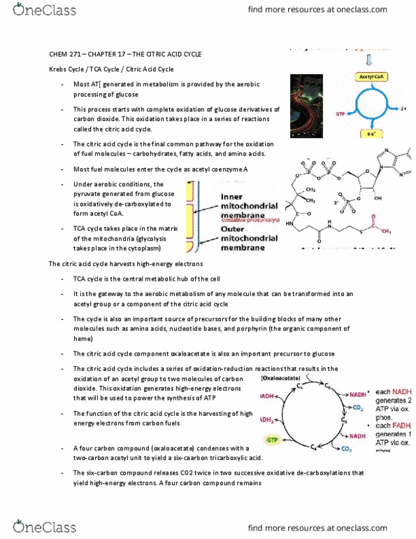 CHEM 271 Chapter Notes - Chapter 17: Aldehyde, Allosteric Regulation, Malate Dehydrogenase thumbnail