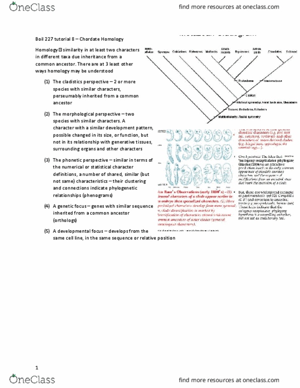 BIOL 227 Lecture Notes - Lecture 8: Craniate, Agnatha, Swim Bladder thumbnail