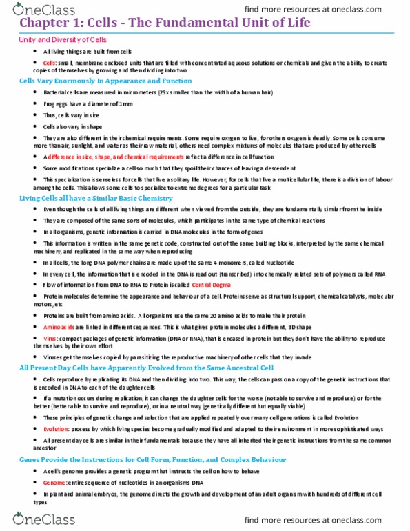 BIO206H5 Chapter Notes - Chapter 1: Transmission Electron Microscopy, Scanning Electron Microscope, Electron Microscope thumbnail