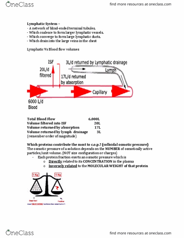 PHGY 209 Lecture Notes - Lecture 16: Vascular Permeability, Kwashiorkor, Edema thumbnail