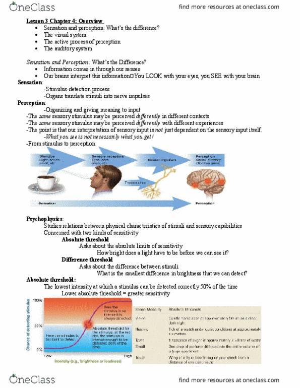 PSYC 1000 Chapter Notes - Chapter 3-4: Visual Cortex, Absolute Threshold, Ganglion Cell thumbnail