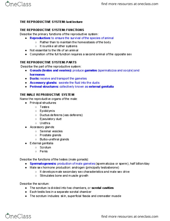 ASCI 141 Lecture Notes - Lecture 28: Seminiferous Tubule, Efferent Ducts, Vas Deferens thumbnail