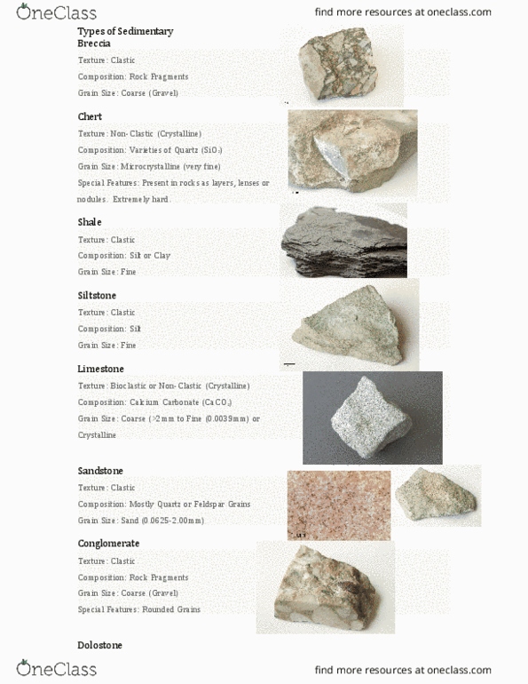 EARTHSC 1G03 Chapter Notes - Chapter 2: Siltstone, Chert, Calcium Carbonate thumbnail