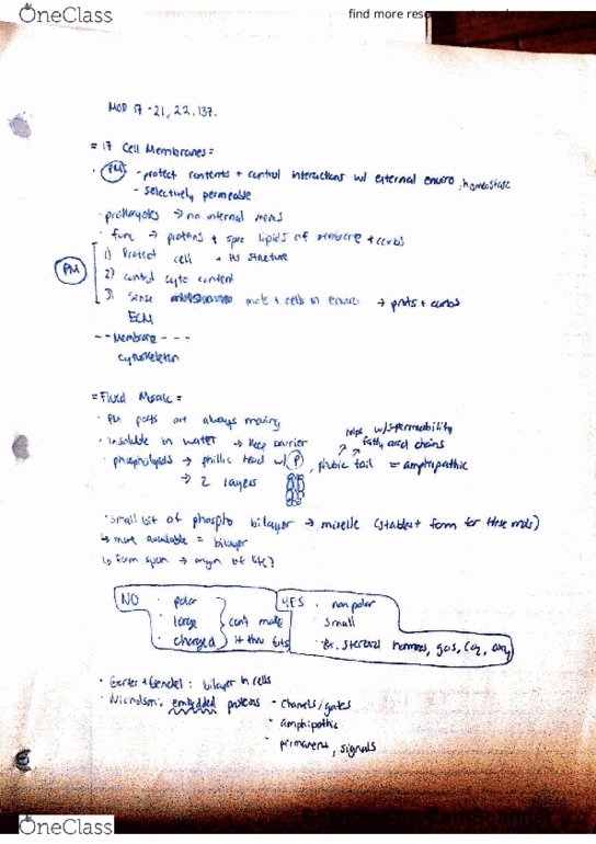 BI110 Chapter 17: module notes 17-21,22 thumbnail