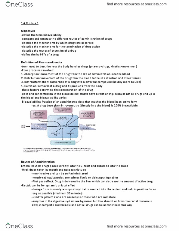 PHAR 100 Lecture Notes - Lecture 4: Nasogastric Intubation, Cheek Pouch, Bioavailability thumbnail