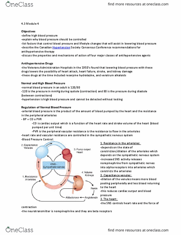 PHAR 100 Lecture Notes - Lecture 20: Angiotensin-Converting Enzyme, Veratrum, Vasodilation thumbnail