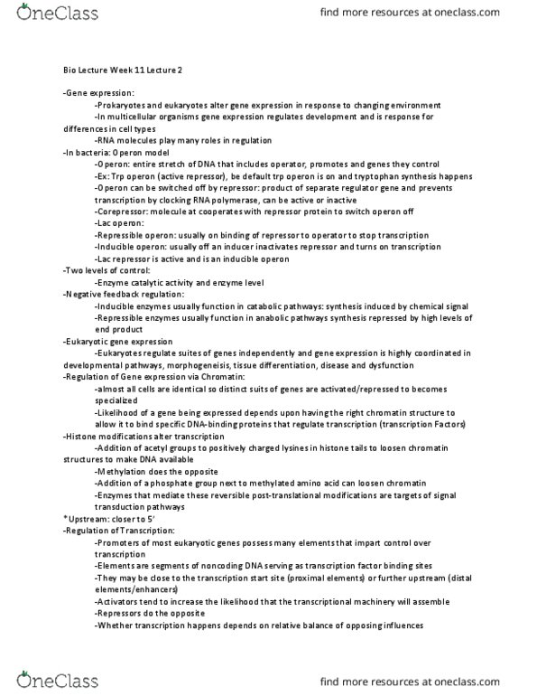 BIOL 102 Lecture Notes - Lecture 22: Trp Operon, Lac Operon, Lac Repressor thumbnail