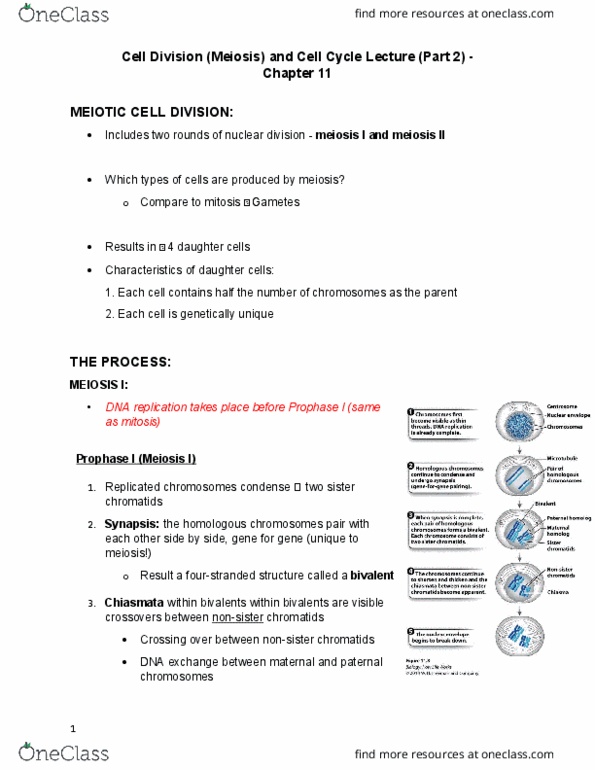BIOL 1010U Lecture Notes - Lecture 11: Sarcoma, Protein Kinase, P53 thumbnail