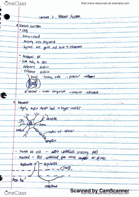 KP161 Lecture 7: kp161 lec 7 thumbnail