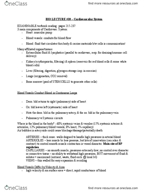 BIOL 1080 Lecture Notes - Lecture 10: Pulmonary Artery, Pulmonary Vein, Bone Marrow thumbnail